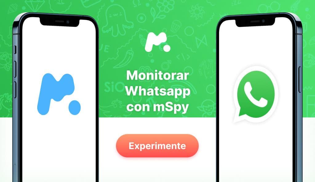 WhatsApp mSpy (Divulgação)